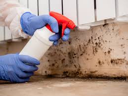 Professional Mold Prevention & Removal  in Millington, NJ